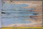 Preview: Resin Guitar Topwood stab 13 Book Matched