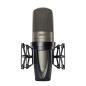 Preview: SHURE KSM42 CG 2