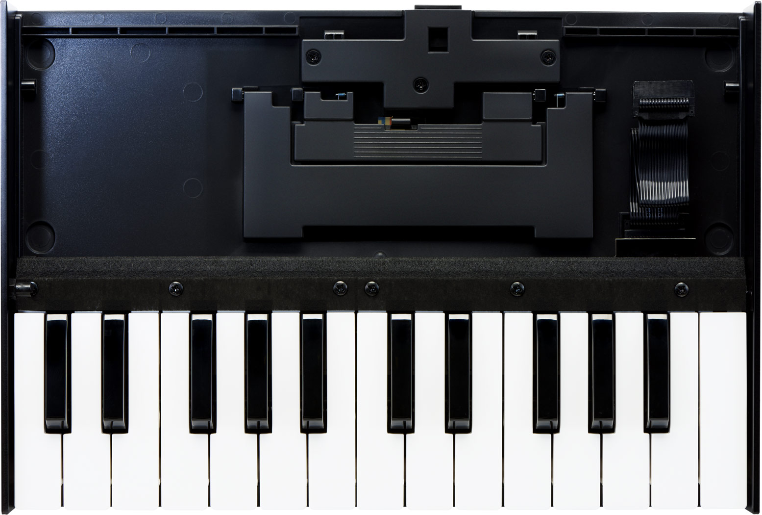 Maruszczyk Instruments - From Player To Player - Roland K-25m Tastatur