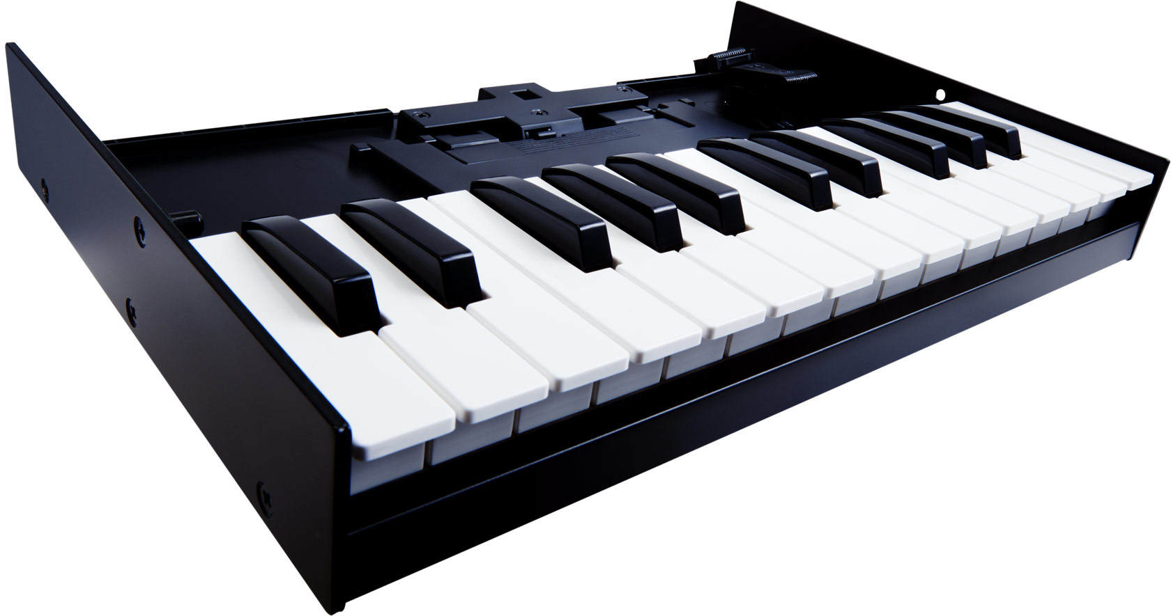 Maruszczyk Instruments - From Player To Player - Roland K-25m Tastatur