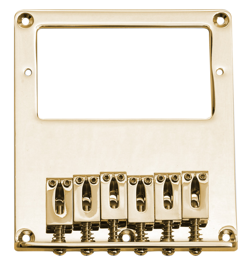 Göldo "Modern" TL-Bridge / Humbucker Gold