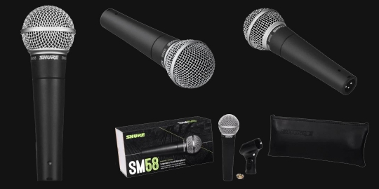 SHURE SM58-S Dynamic Microphone